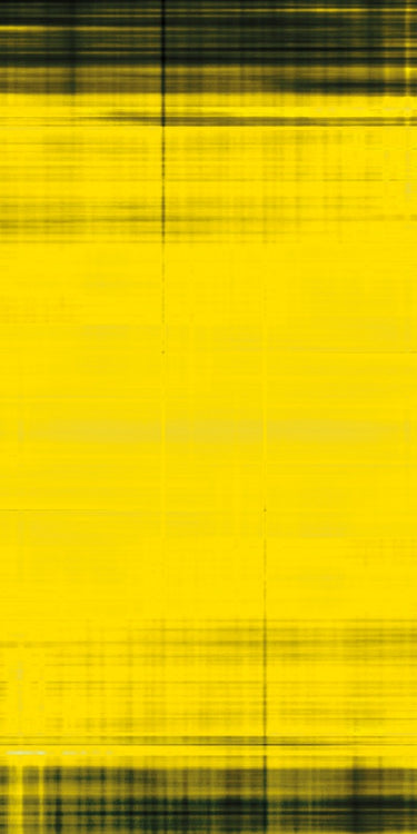 Rane TTM 57 SL Skin Blacknyellow